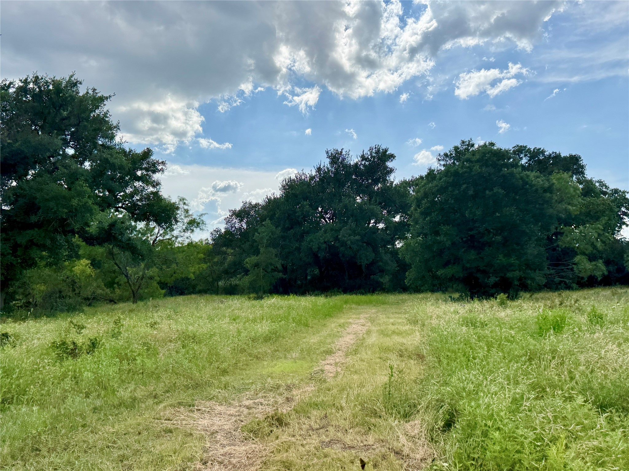2840 County Road 404 Early TX 76802