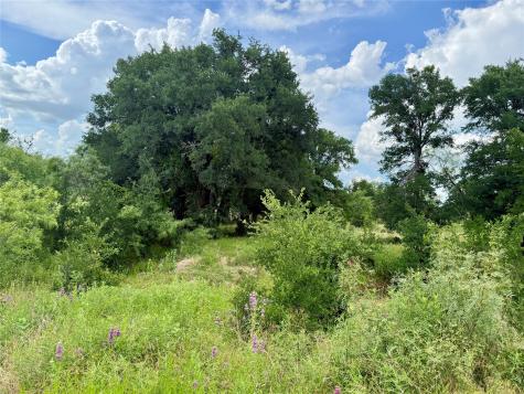 2840 County Road 404 Early TX 76802
