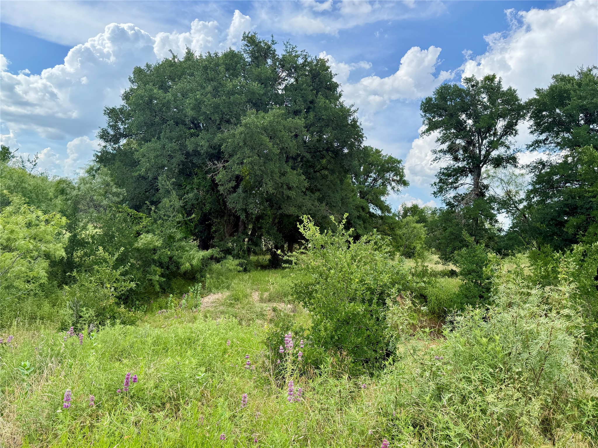 2840 County Road 404 Early TX 76802