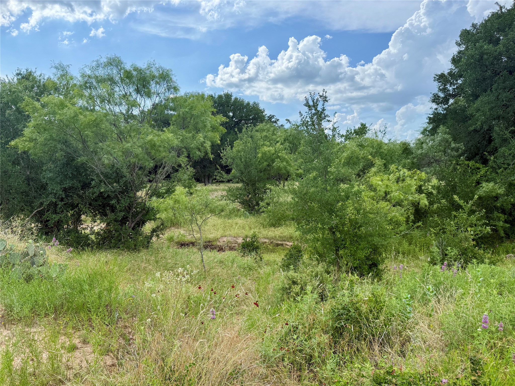2840 County Road 404 Early TX 76802