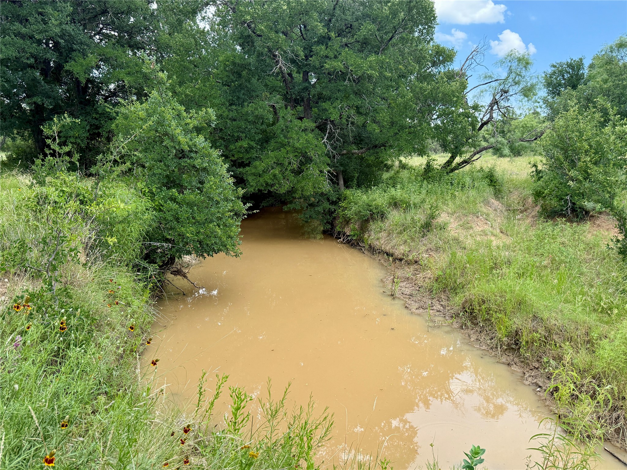 2840 County Road 404 Early TX 76802