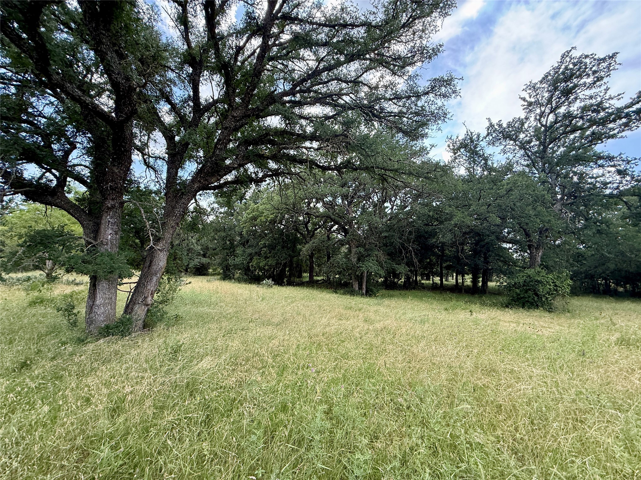 2840 County Road 404 Early TX 76802