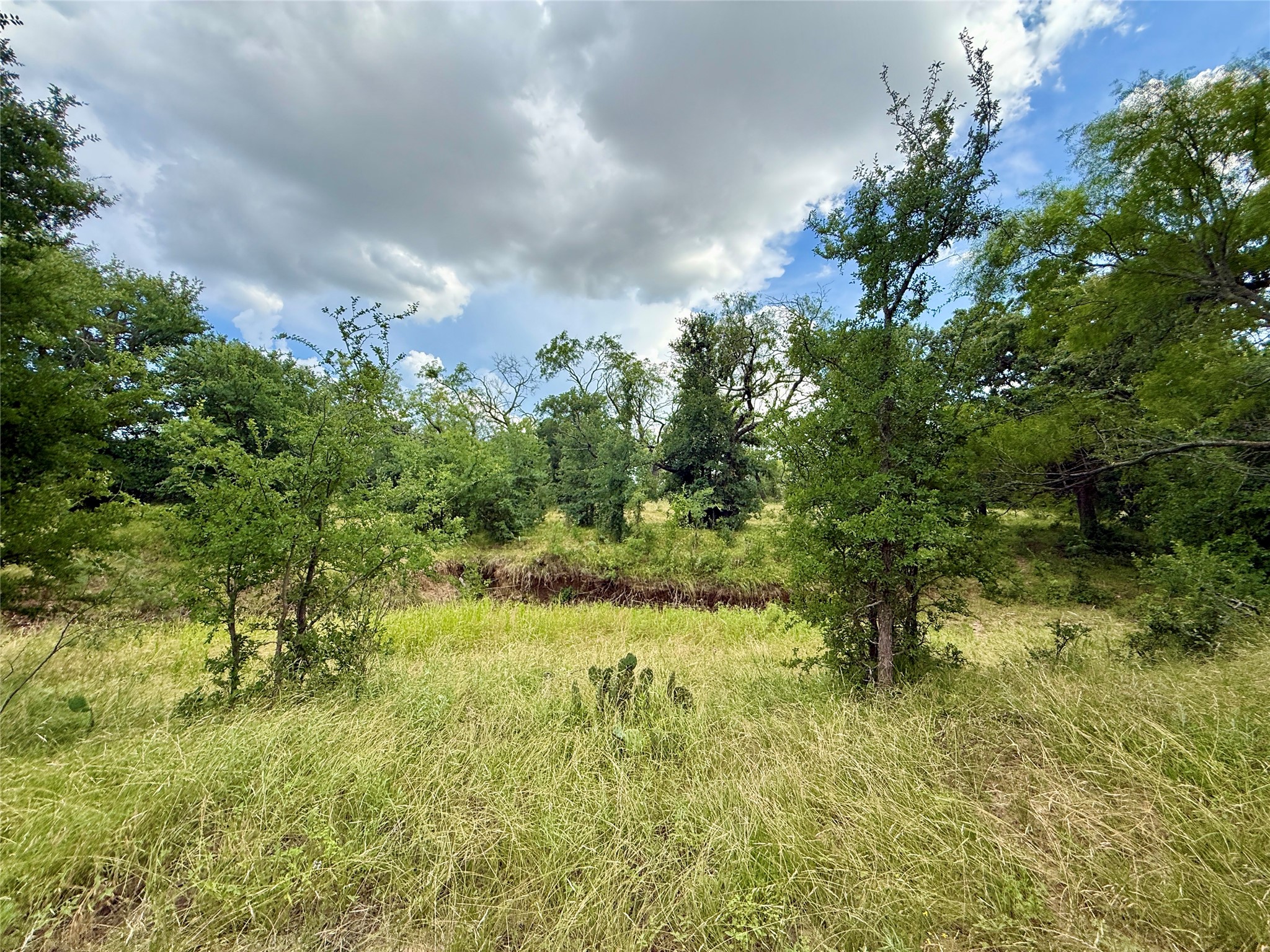 2840 County Road 404 Early TX 76802