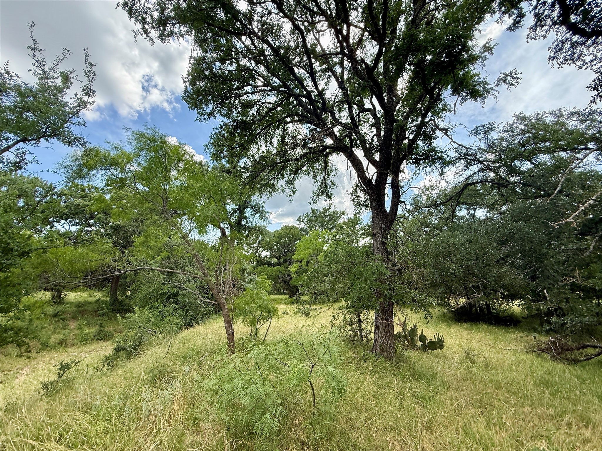 2840 County Road 404 Early TX 76802