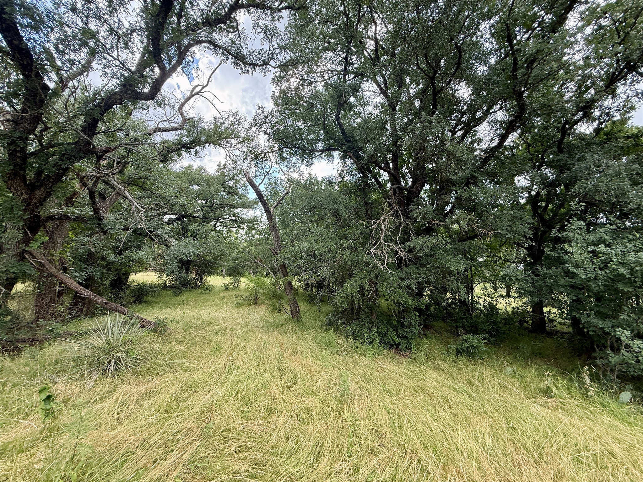 2840 County Road 404 Early TX 76802