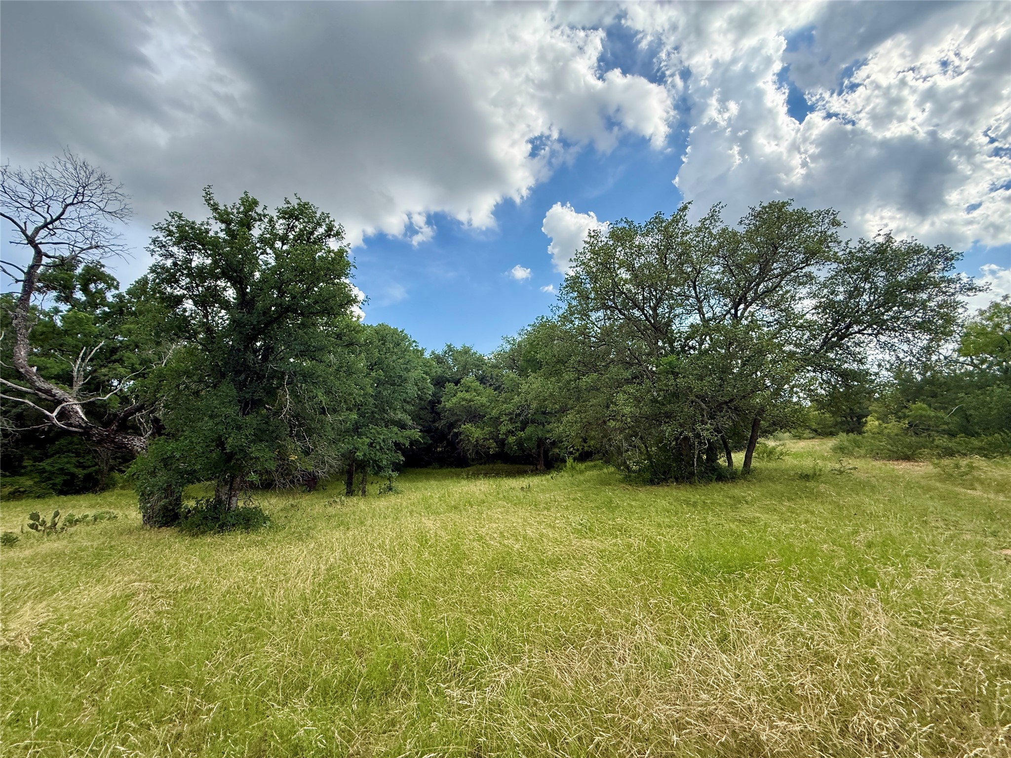 2840 County Road 404 Early TX 76802