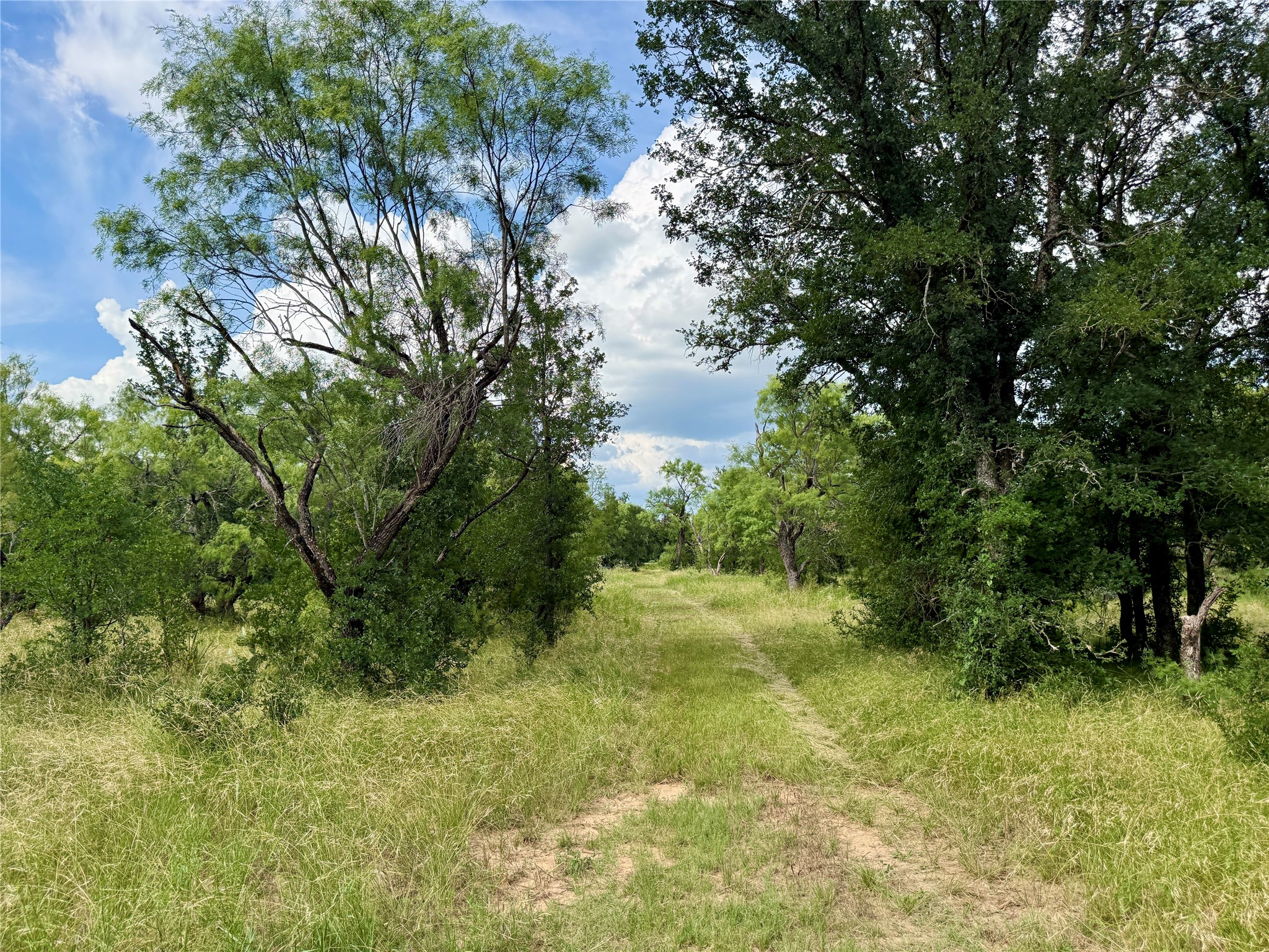 2840 County Road 404 Early TX 76802
