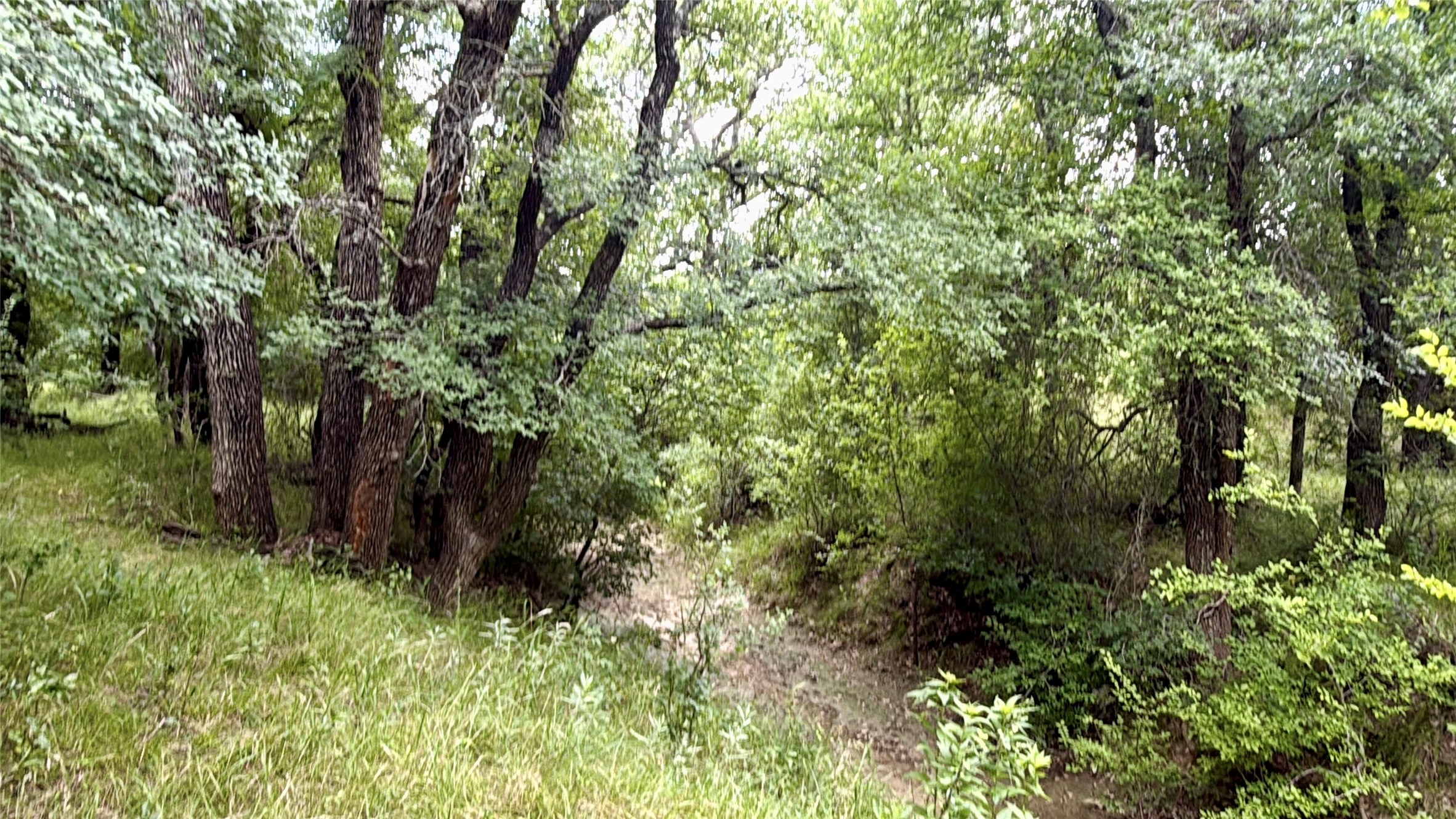 2840 County Road 404 Early TX 76802
