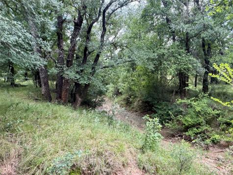 2840 County Road 404 Early TX 76802