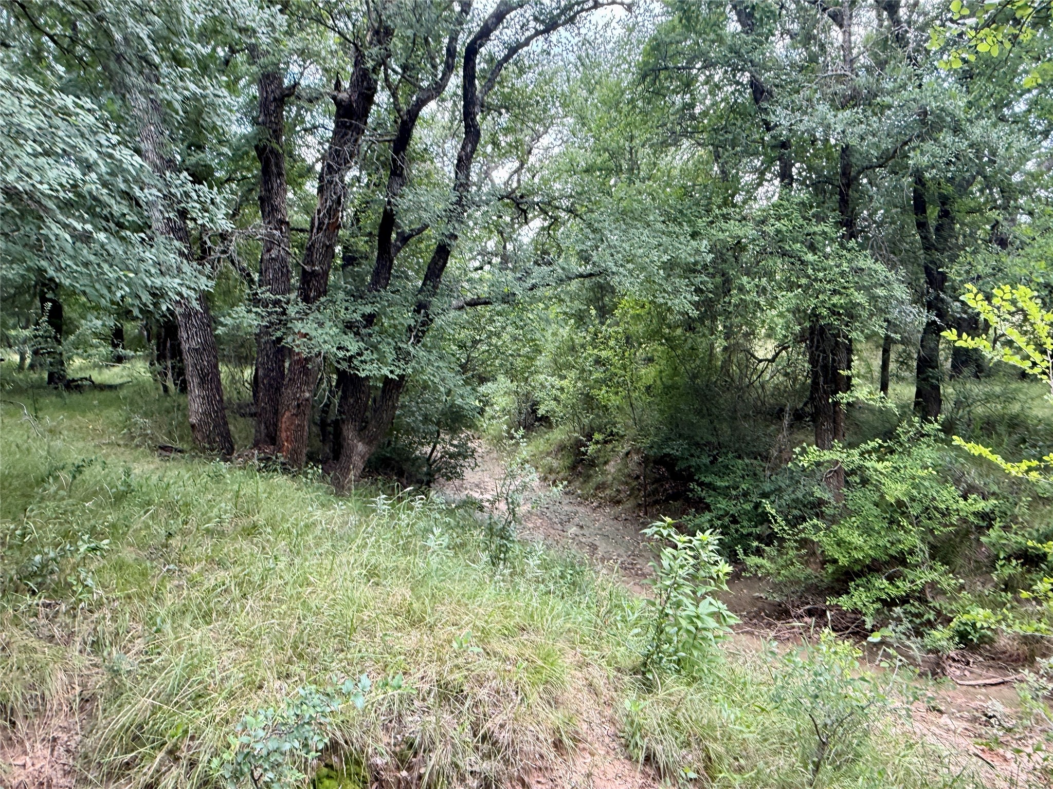 2840 County Road 404 Early TX 76802