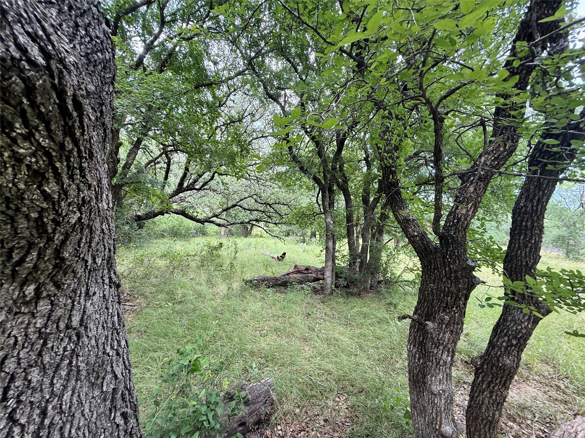2840 County Road 404 Early TX 76802
