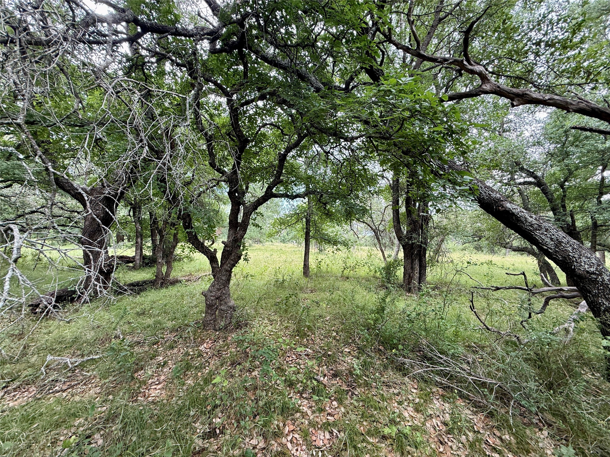2840 County Road 404 Early TX 76802