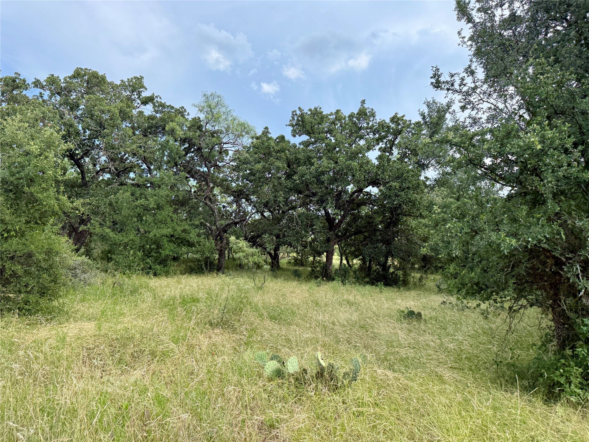 2840 County Road 404 Early TX 76802