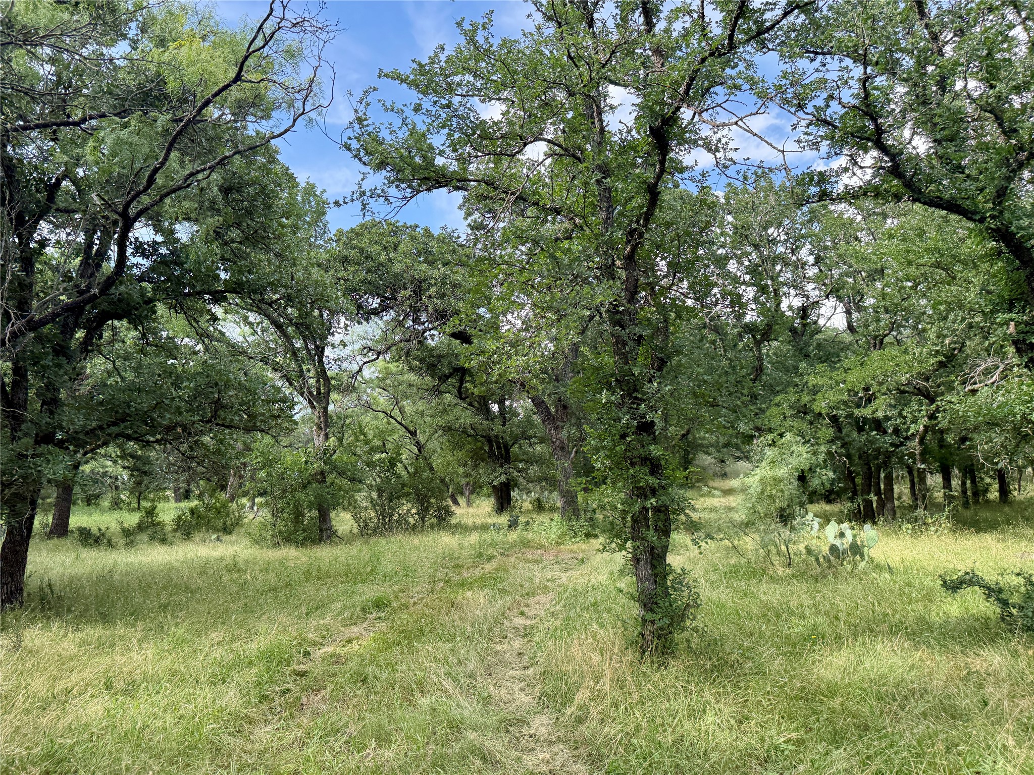 2840 County Road 404 Early TX 76802