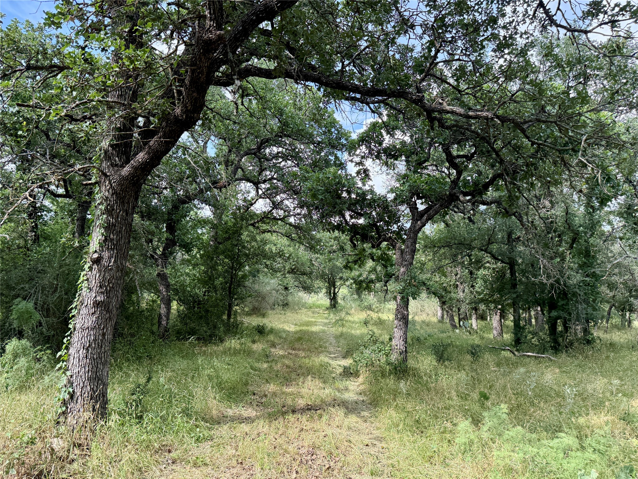 2840 County Road 404 Early TX 76802