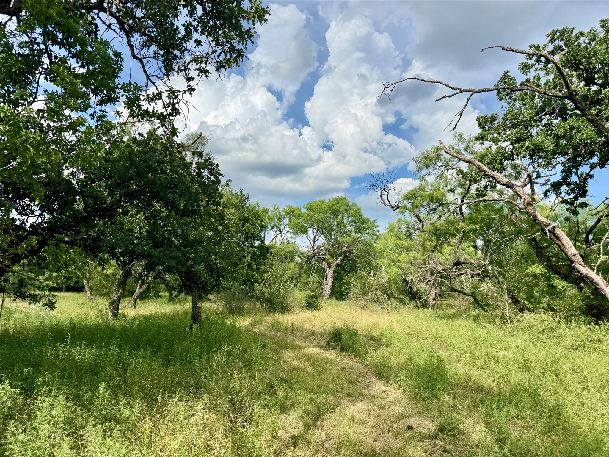 2840 County Road 404 Early TX 76802