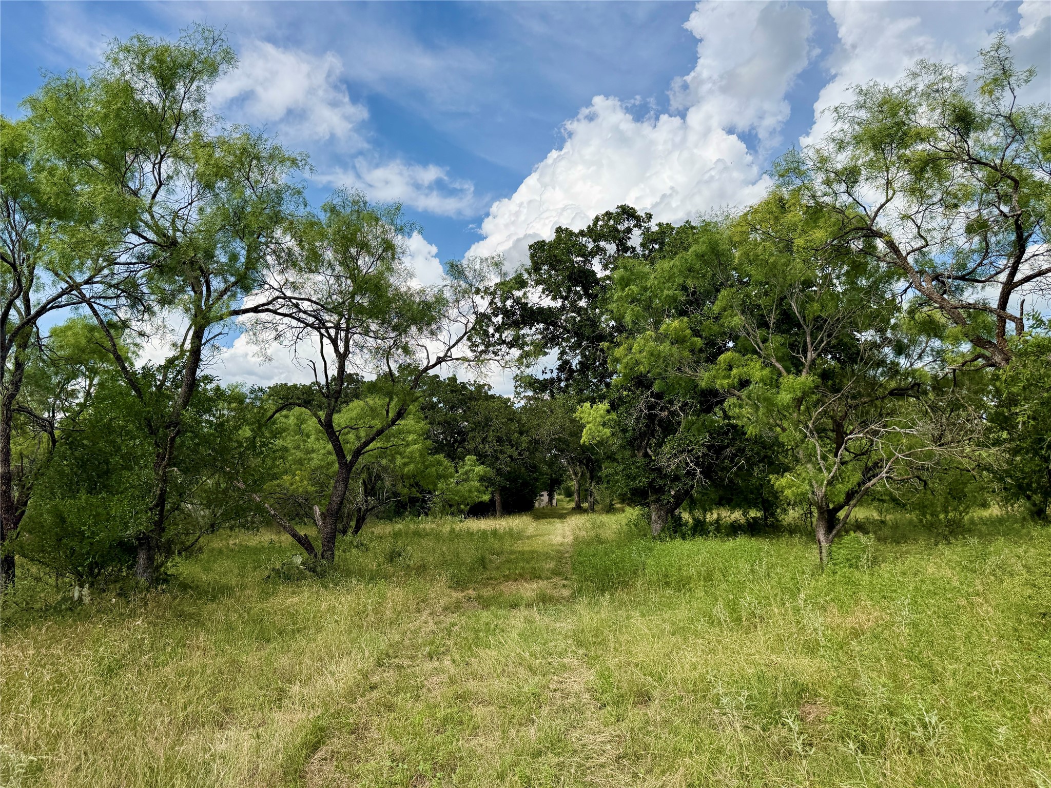 2840 County Road 404 Early TX 76802