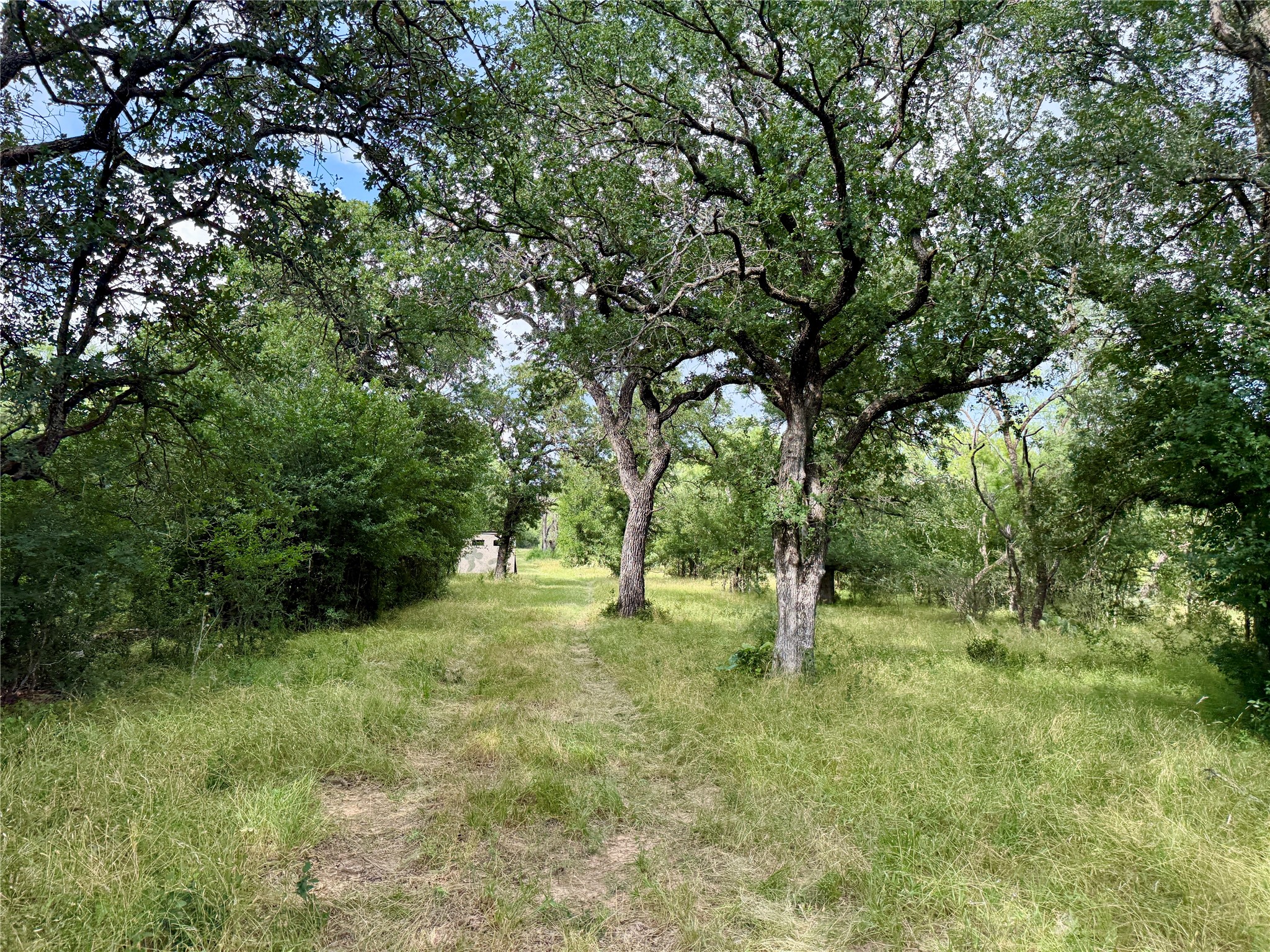 2840 County Road 404 Early TX 76802