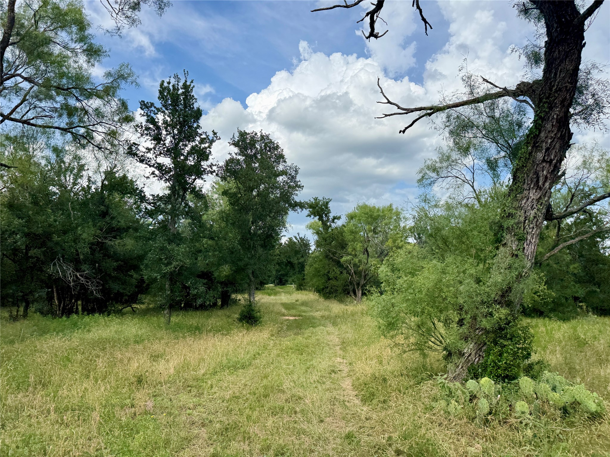 2840 County Road 404 Early TX 76802