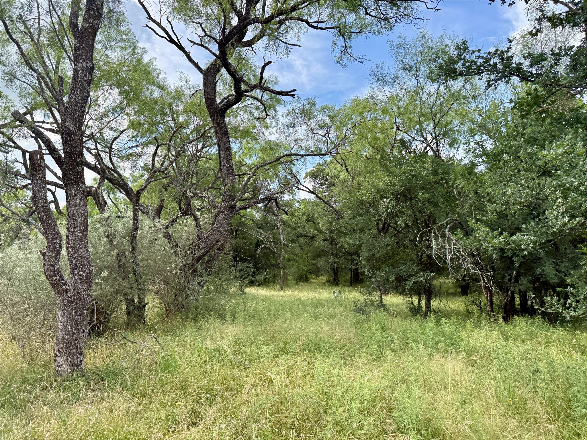 2840 County Road 404 Early TX 76802