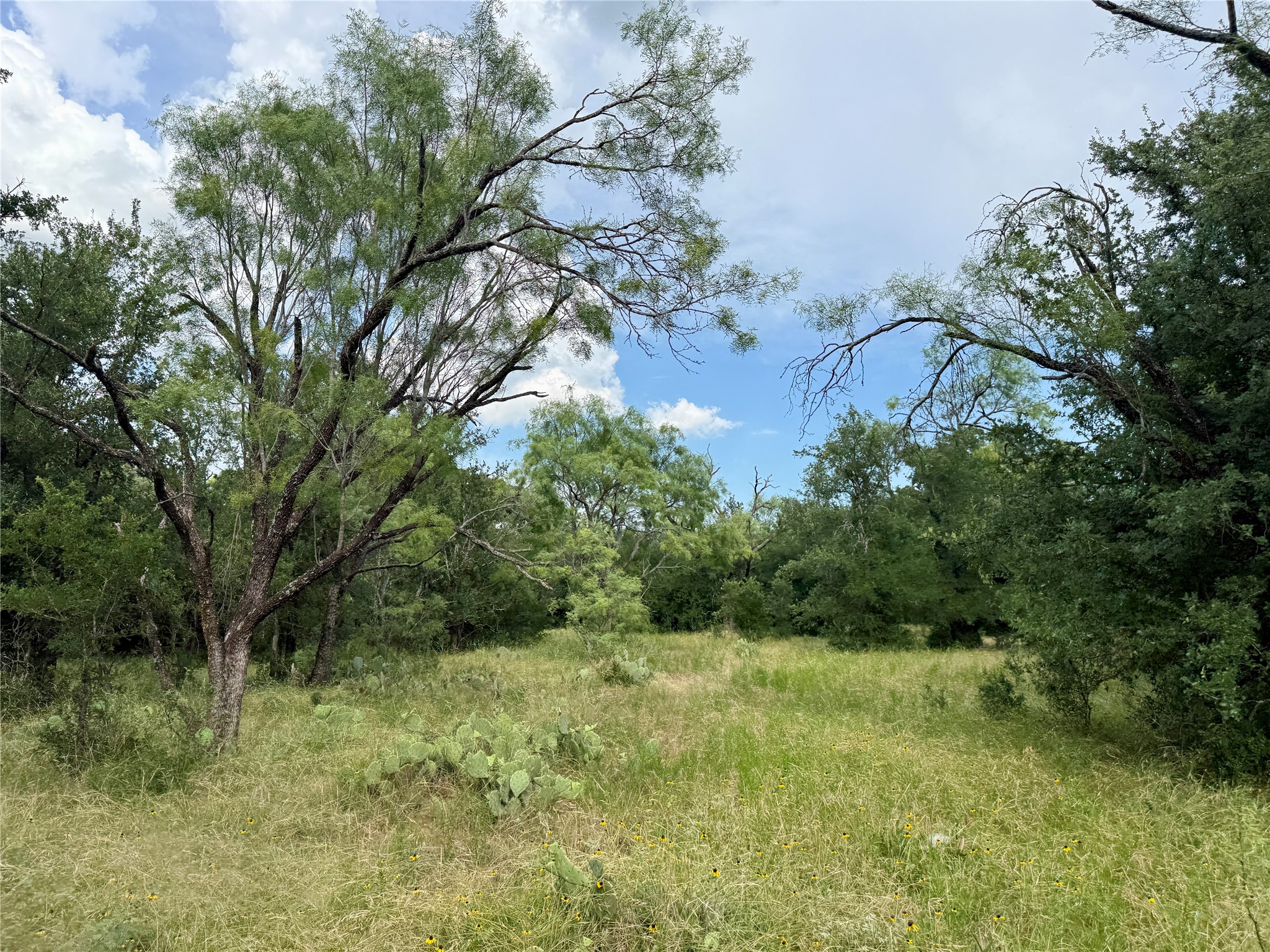 2840 County Road 404 Early TX 76802
