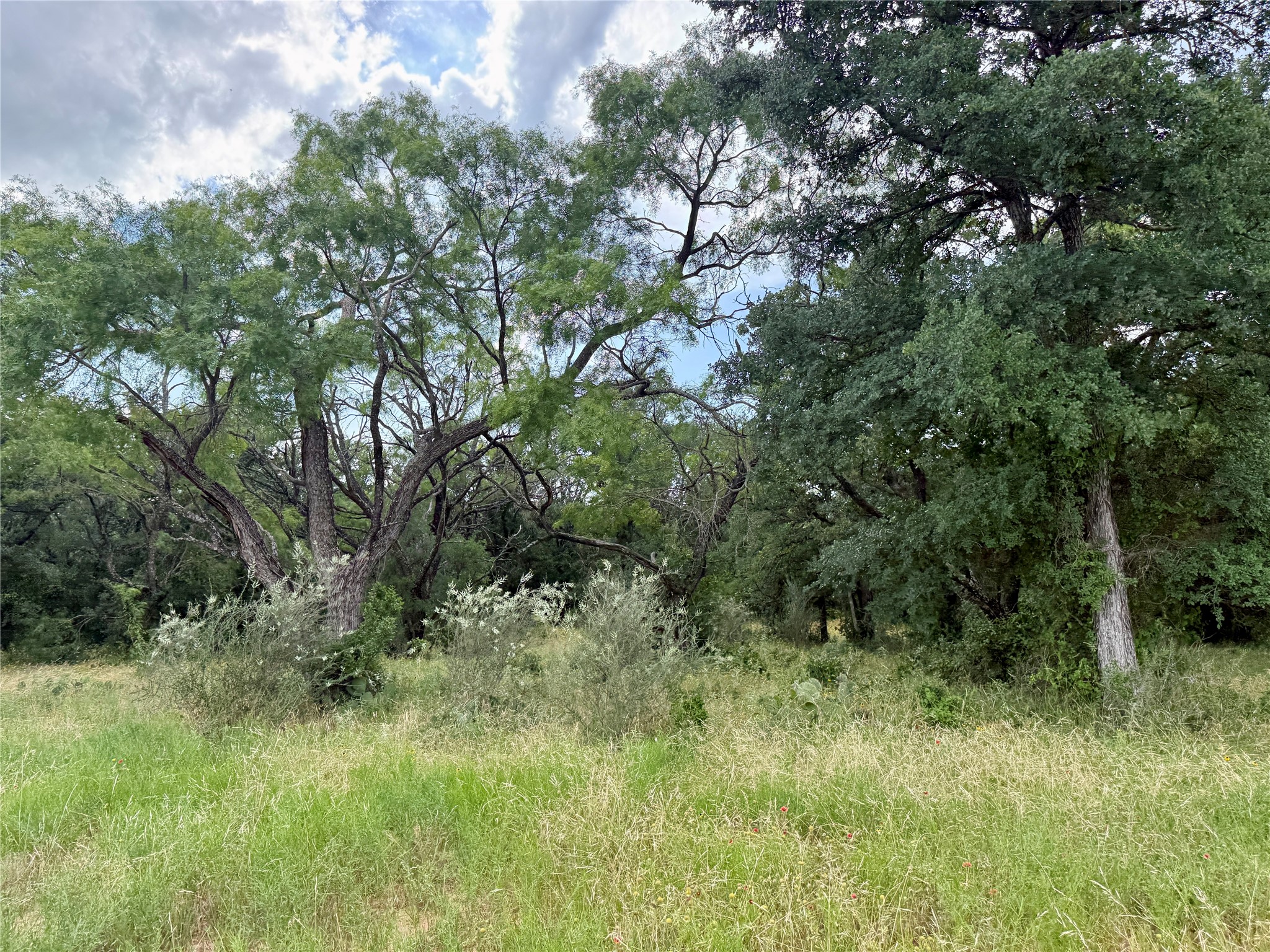 2840 County Road 404 Early TX 76802