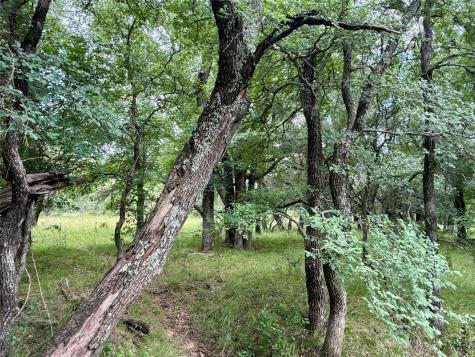 2840 County Road 404 Early TX 76802