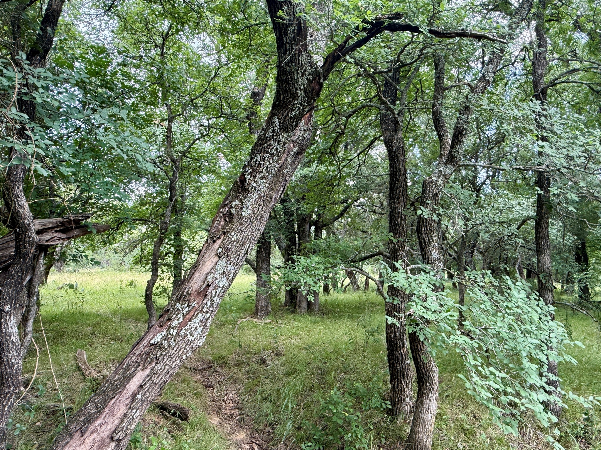 2840 County Road 404 Early TX 76802