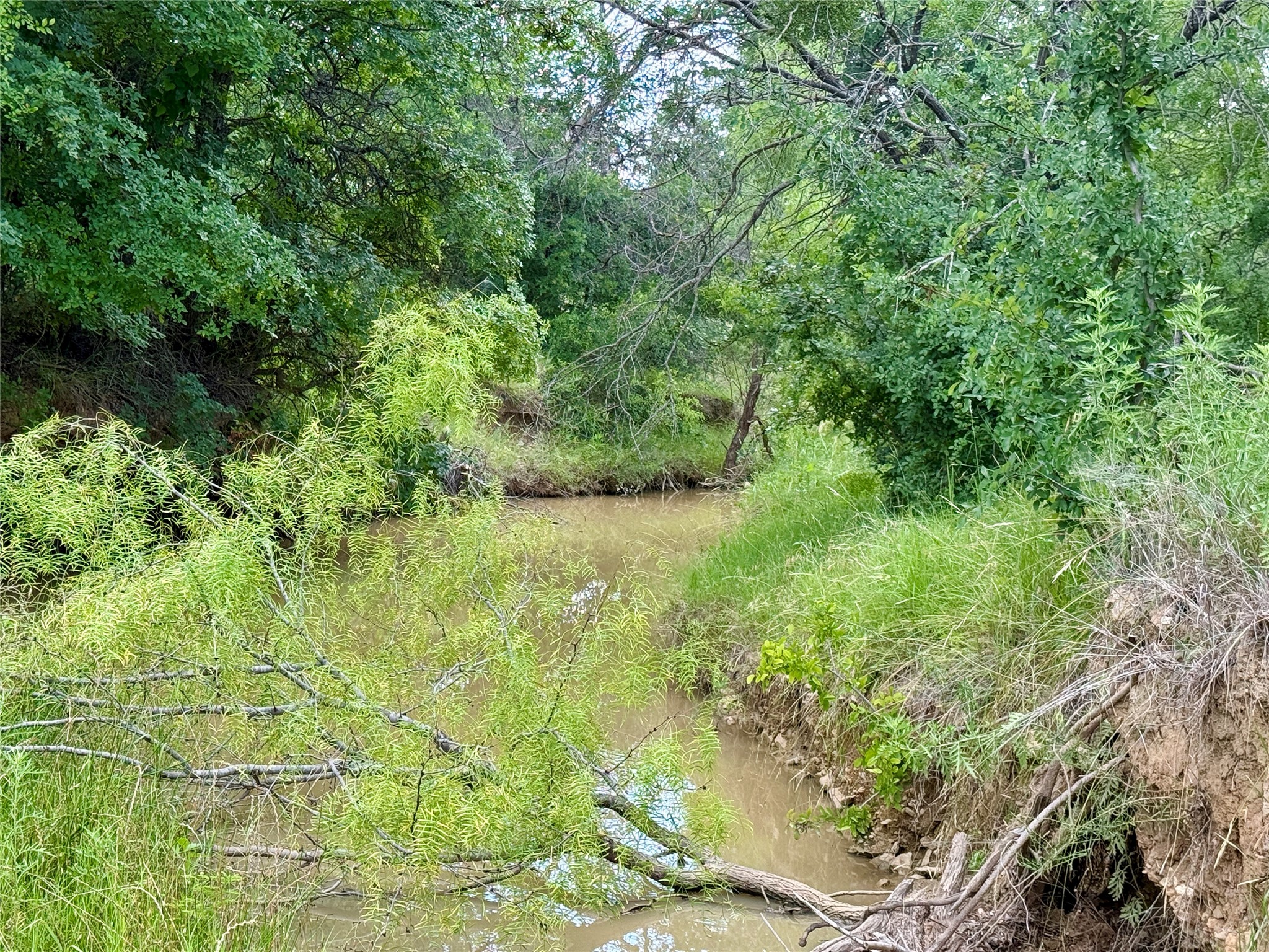 2840 County Road 404 Early TX 76802