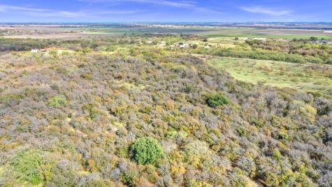 14771 Shearer Road Pilot Point TX 76258