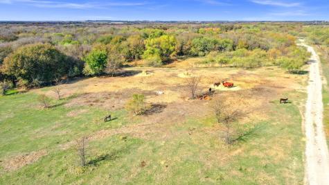 14771 Shearer Road Pilot Point TX 76258