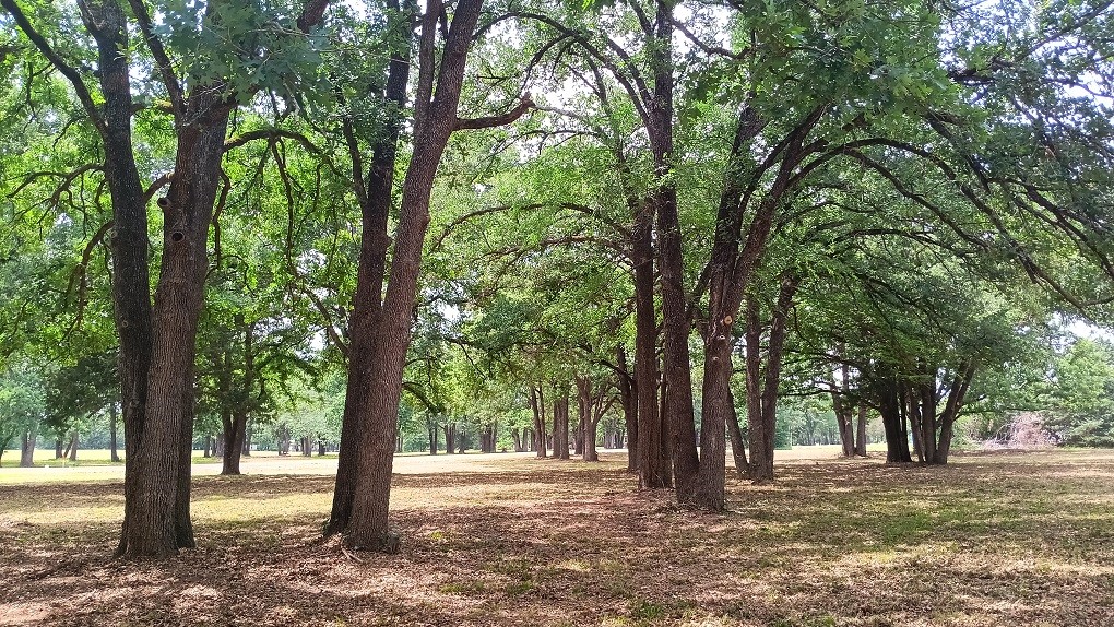 Lt 147 Labota Corsicana TX 75109