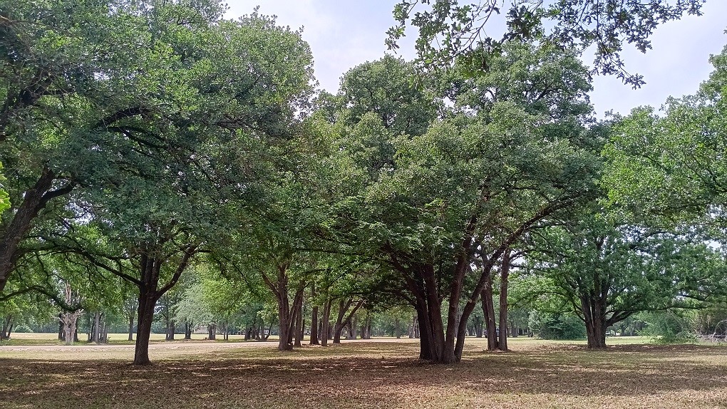 Lt 147 Labota Corsicana TX 75109