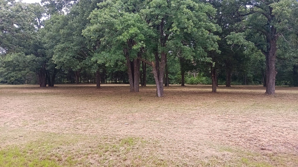Lt 147 Labota Corsicana TX 75109