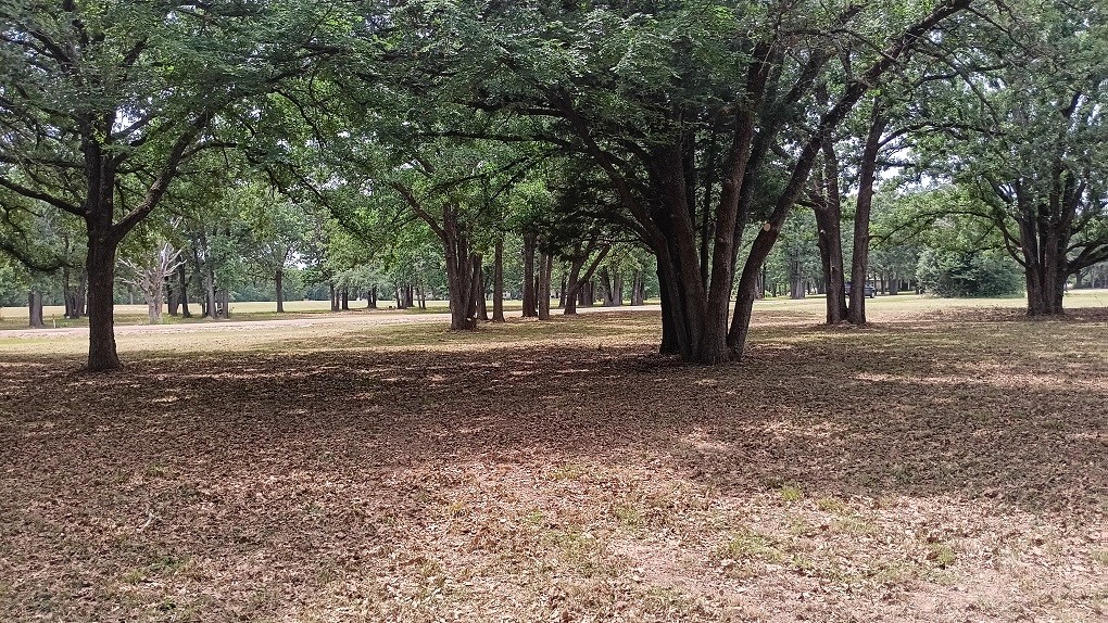 Lt 147 Labota Corsicana TX 75109