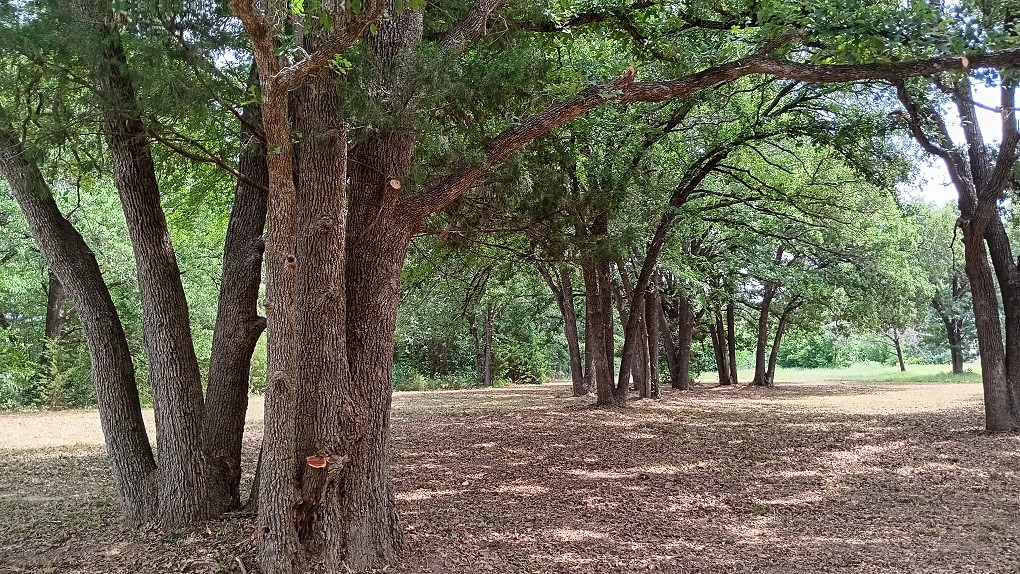 Lt 147 Labota Corsicana TX 75109