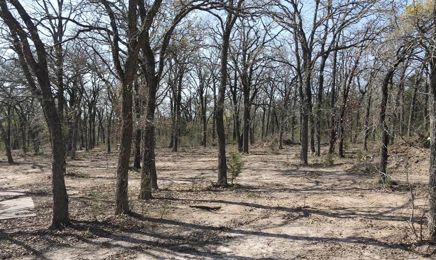 3292 Highway 31 Axtell TX 76624