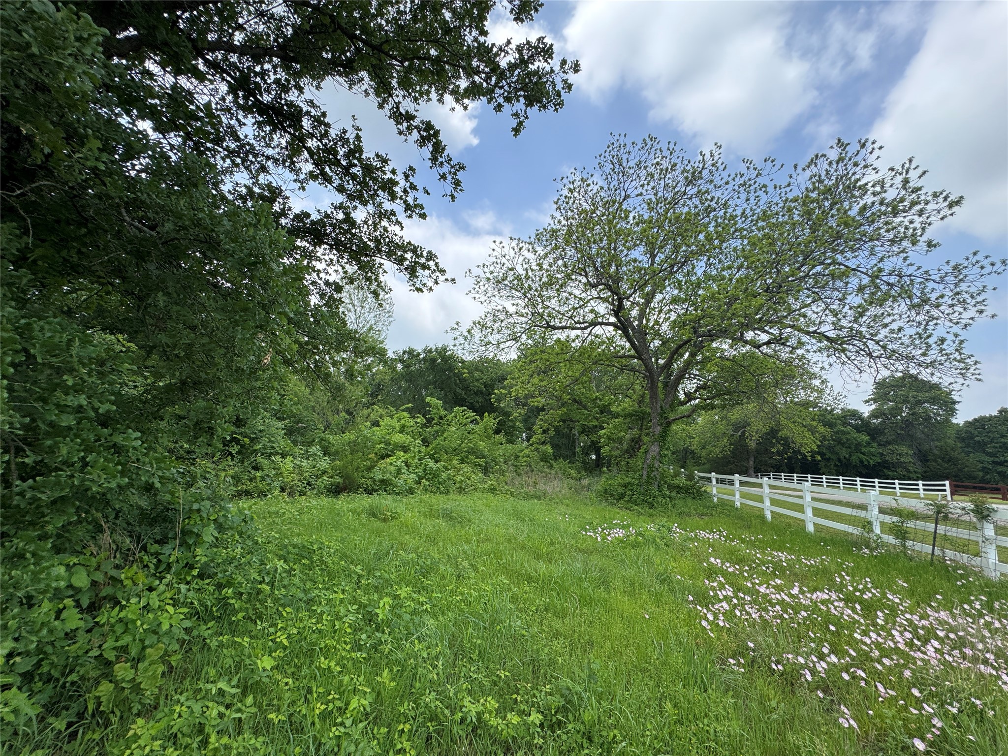 210 County Road 1264 Whitesboro TX 76273