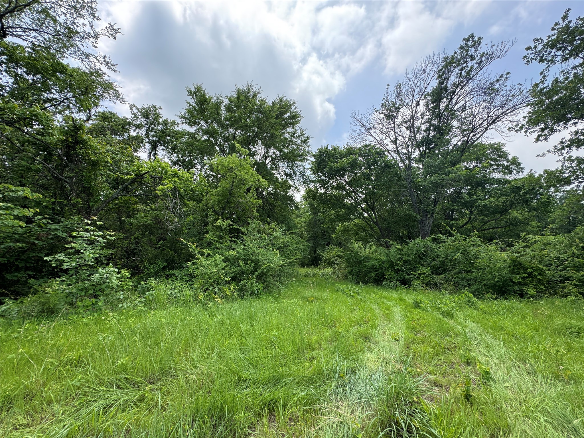 210 County Road 1264 Whitesboro TX 76273
