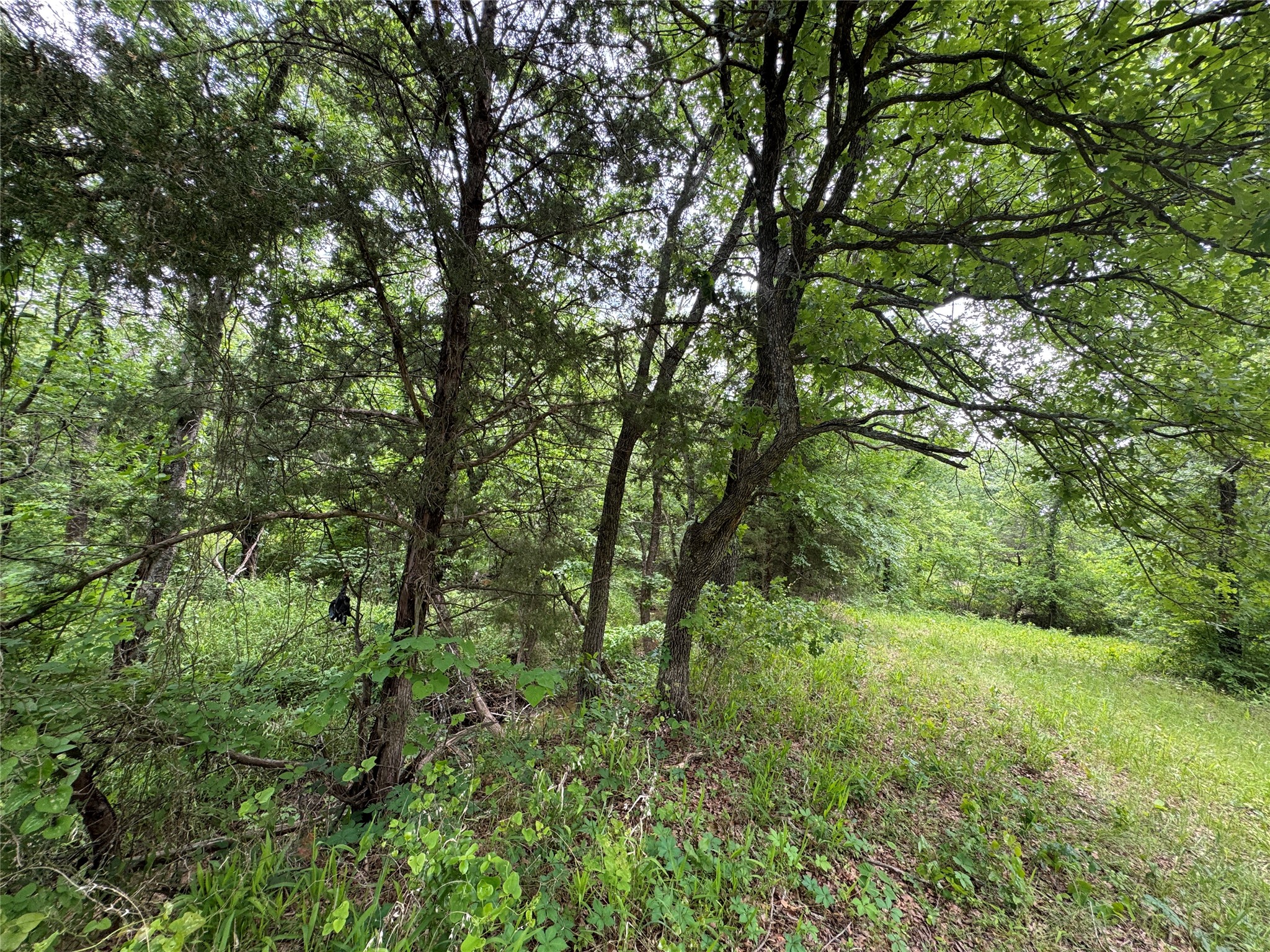 210 County Road 1264 Whitesboro TX 76273