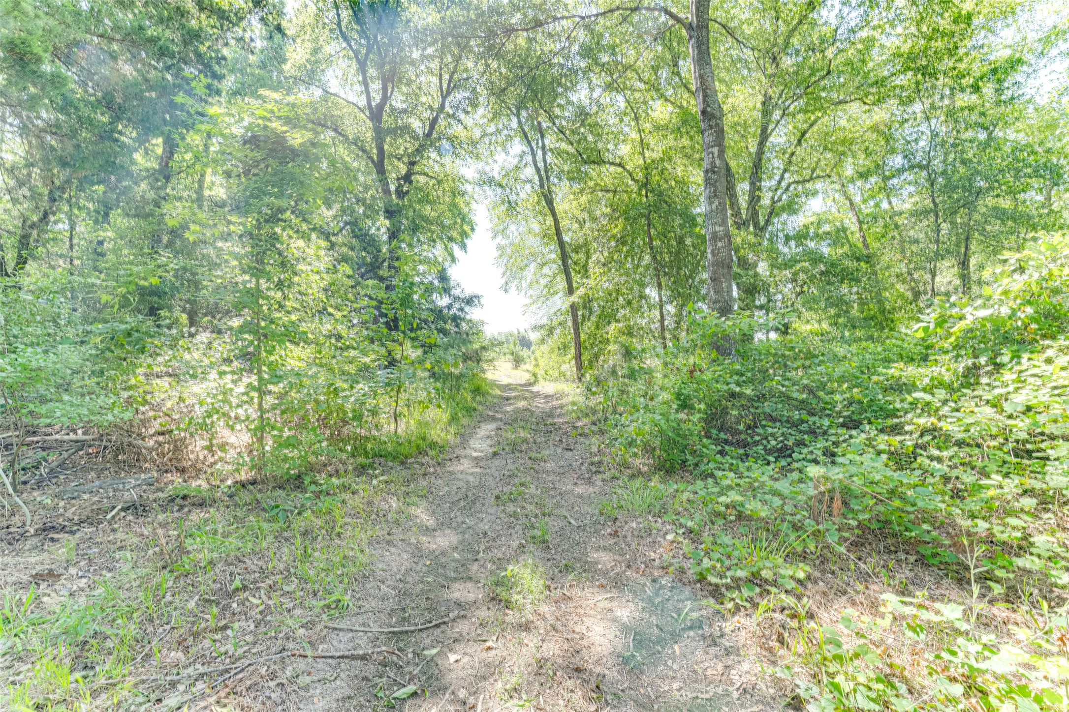 890 Fm 275 Emory TX 75440