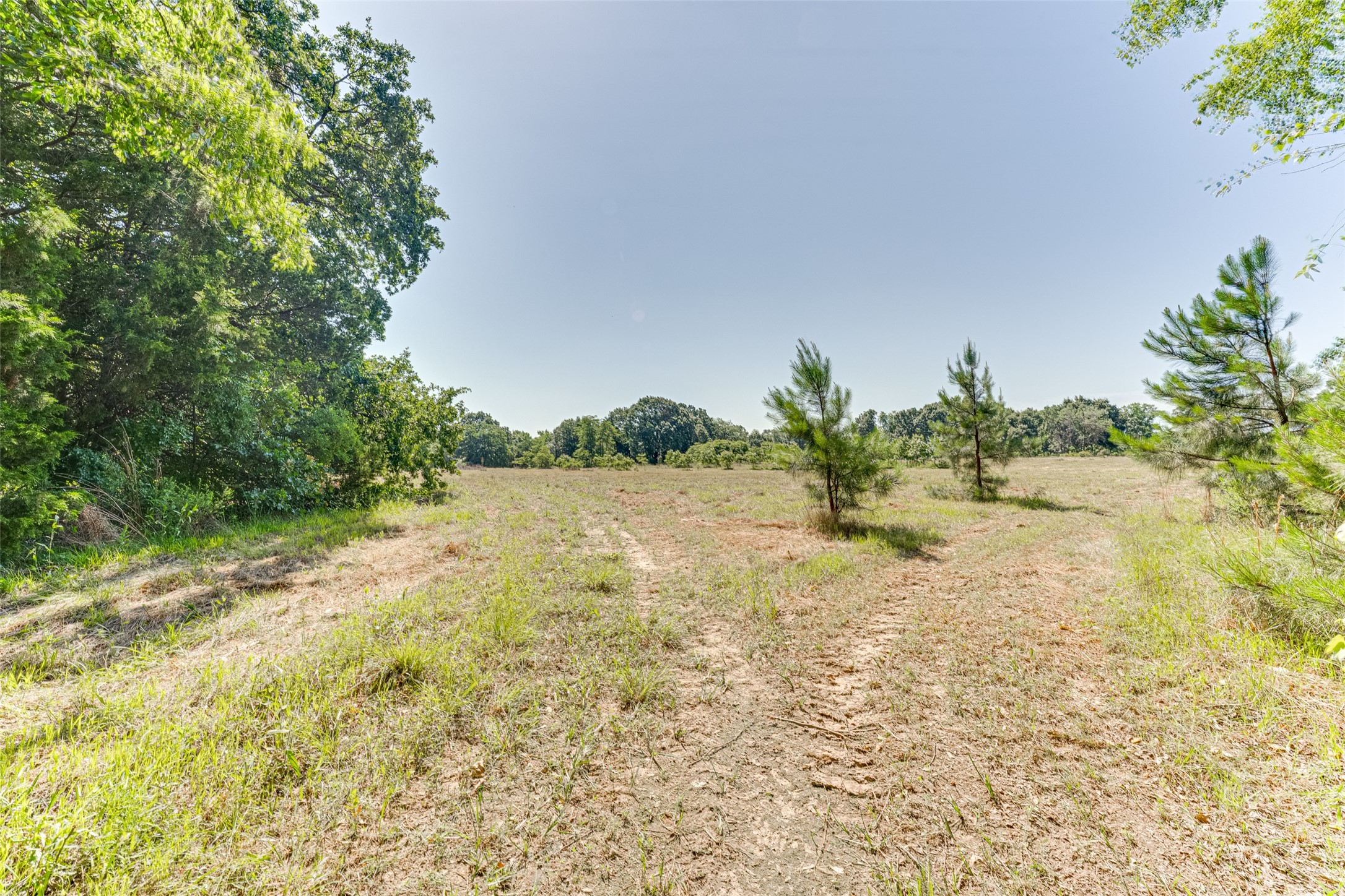 890 Fm 275 Emory TX 75440