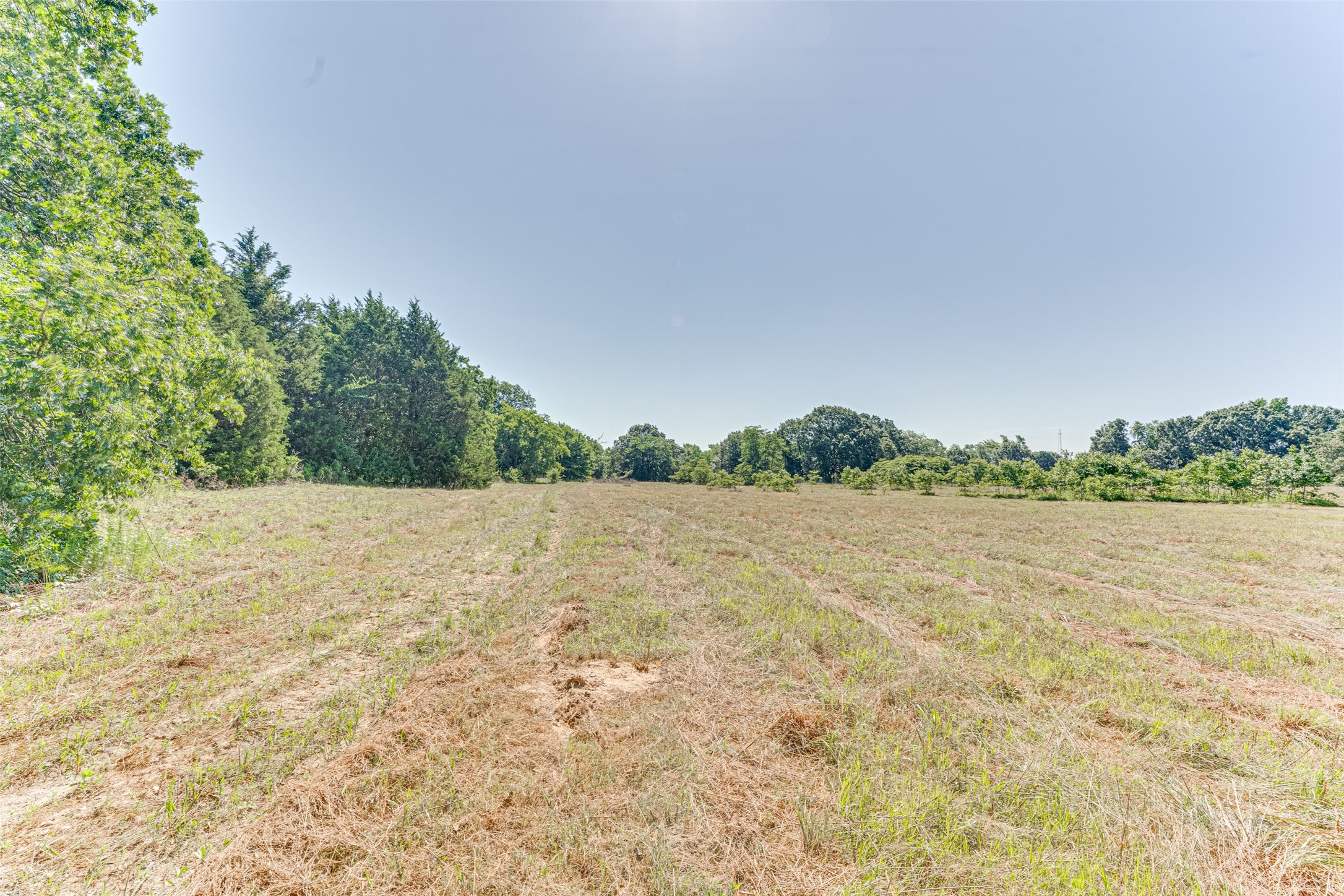890 Fm 275 Emory TX 75440