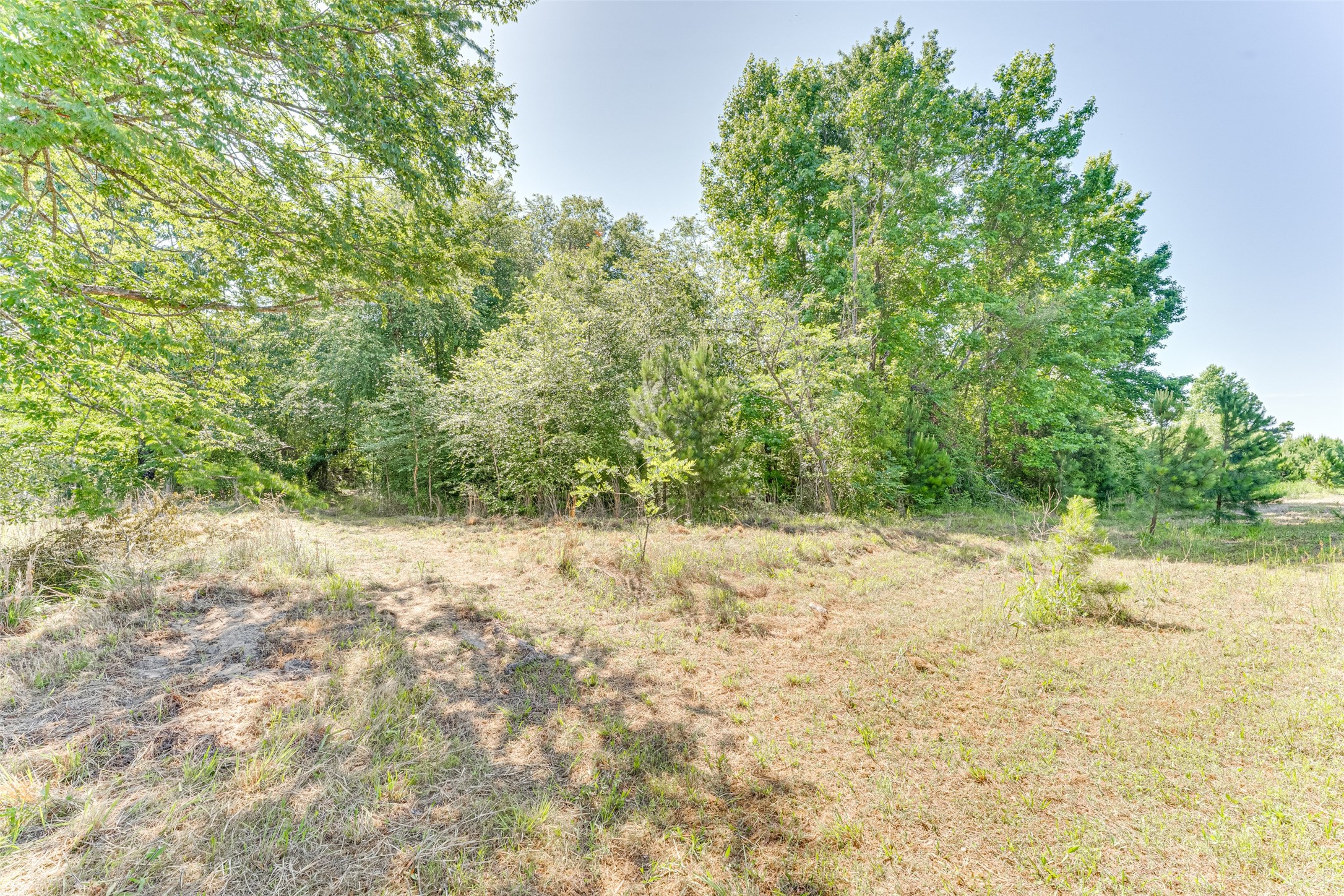 890 Fm 275 Emory TX 75440