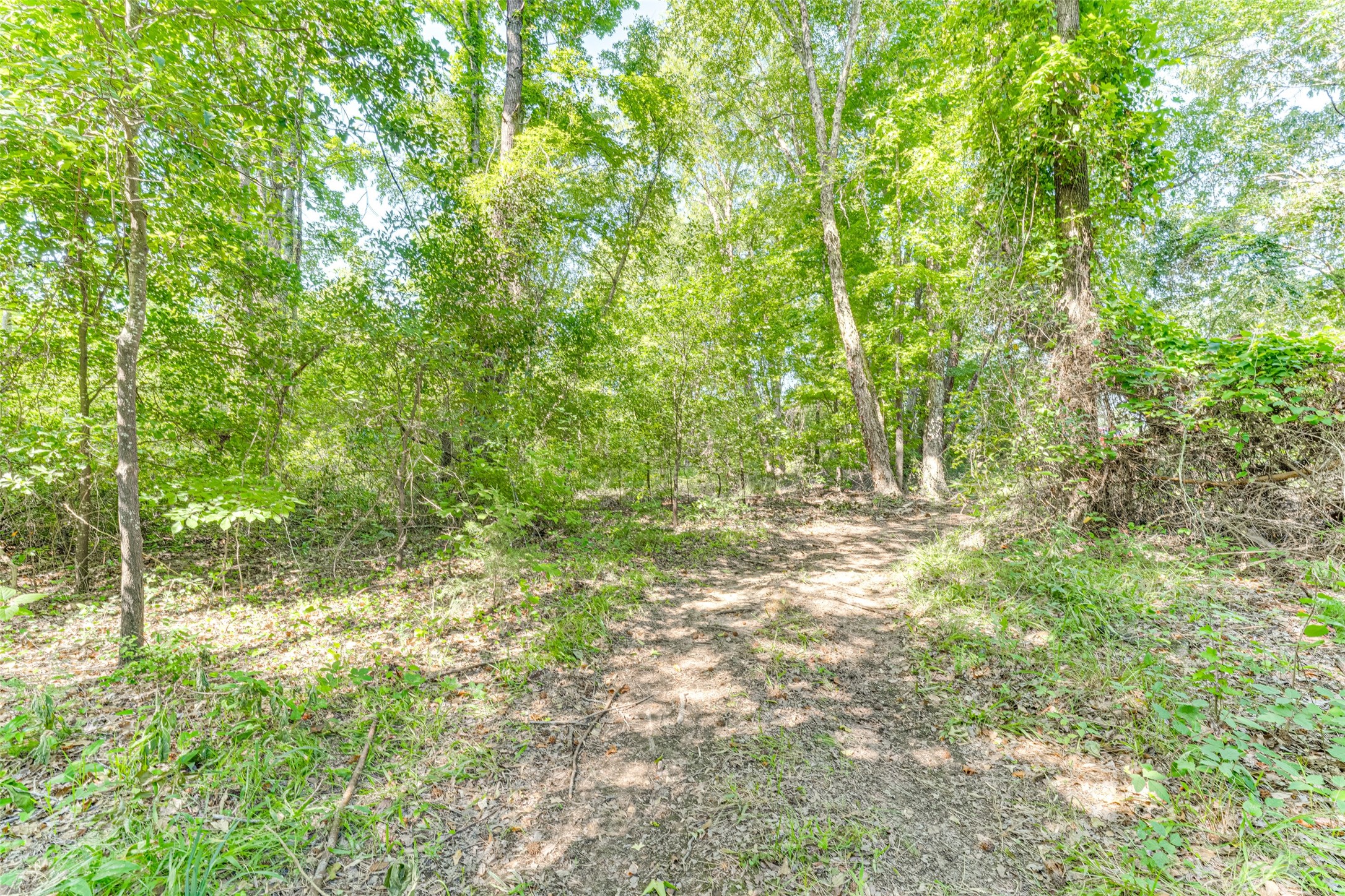 890 Fm 275 Emory TX 75440
