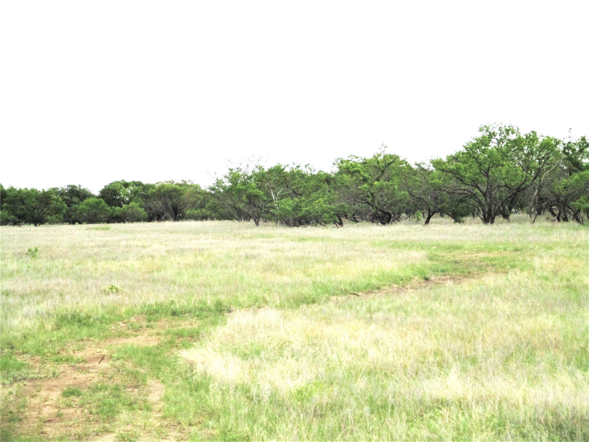 Jacksboro TX 76458