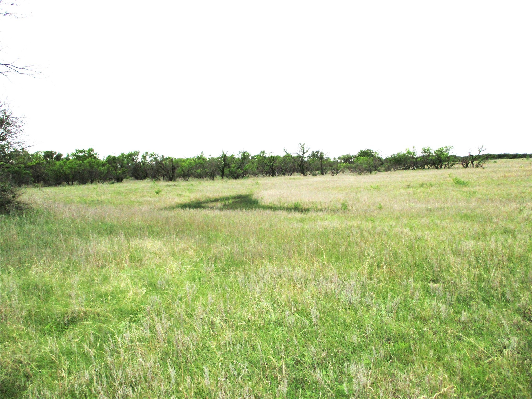 Jacksboro TX 76458