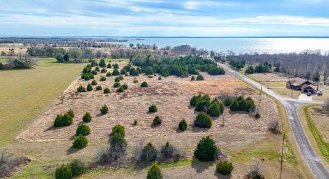 Lot 47 Baybridge Kerens TX 75144