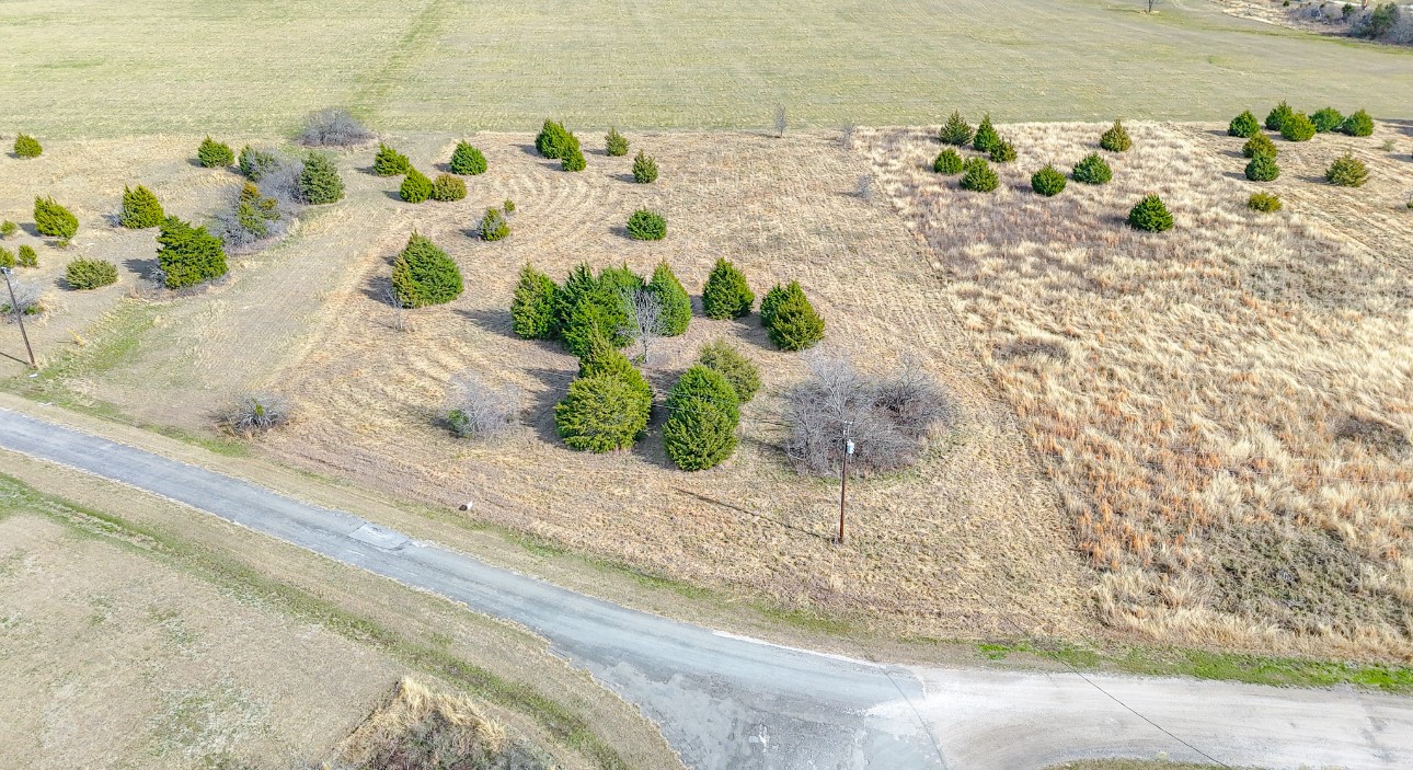 Lot 47 Baybridge Kerens TX 75144