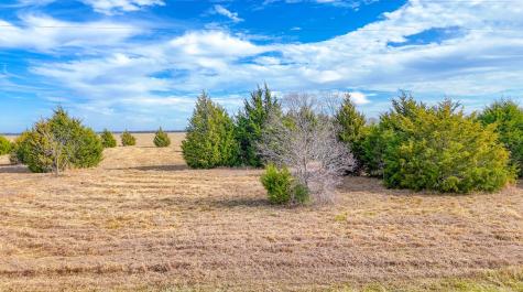 Lot 47 Baybridge Kerens TX 75144